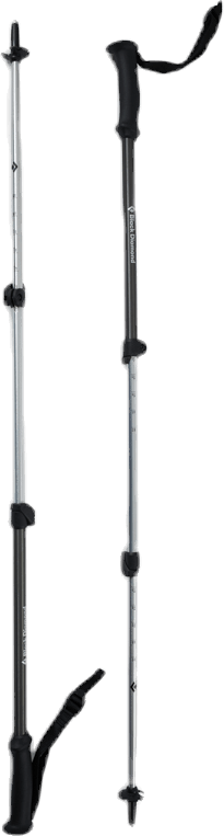 Trail Explorer Trek Poles Grey, Unisex, Utrustning, Träningsutrustning, Grå, ONESIZE