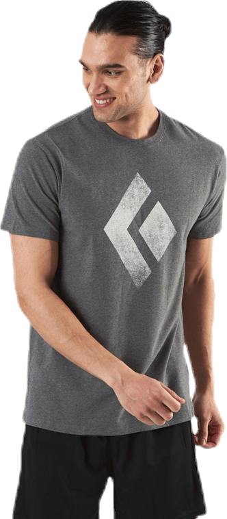 SS Chalked Up Tee Grey