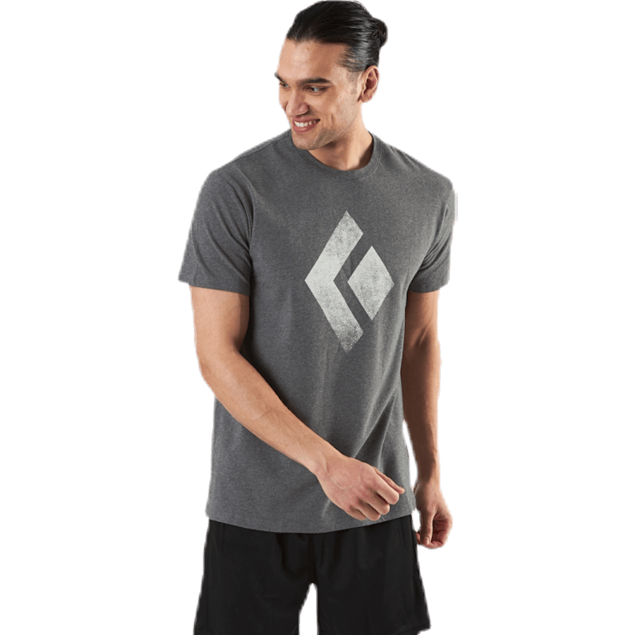 SS Chalked Up Tee Grey