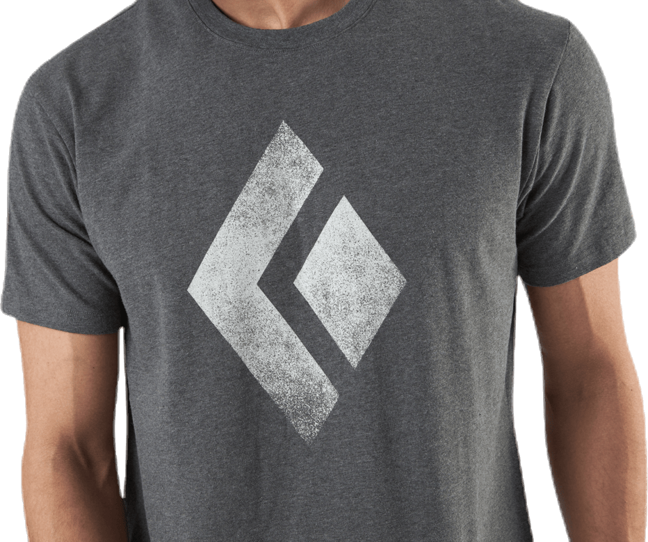 SS Chalked Up Tee Grey - Bild 3