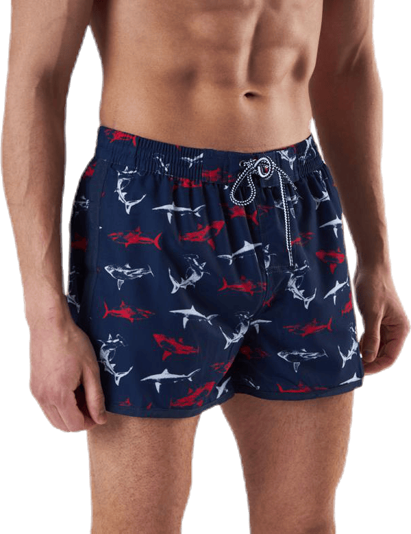 Kawi Shorts Blue - Bild 4