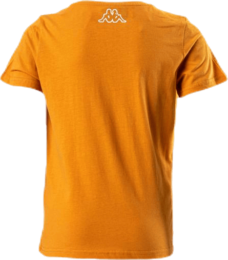 Logo Berk Orange - Bild 2