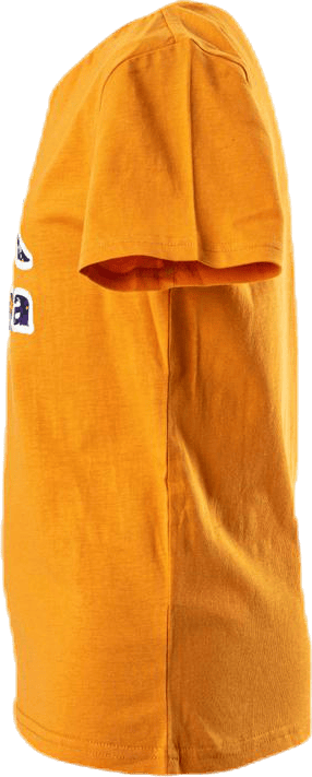 Logo Berk Orange - Bild 4