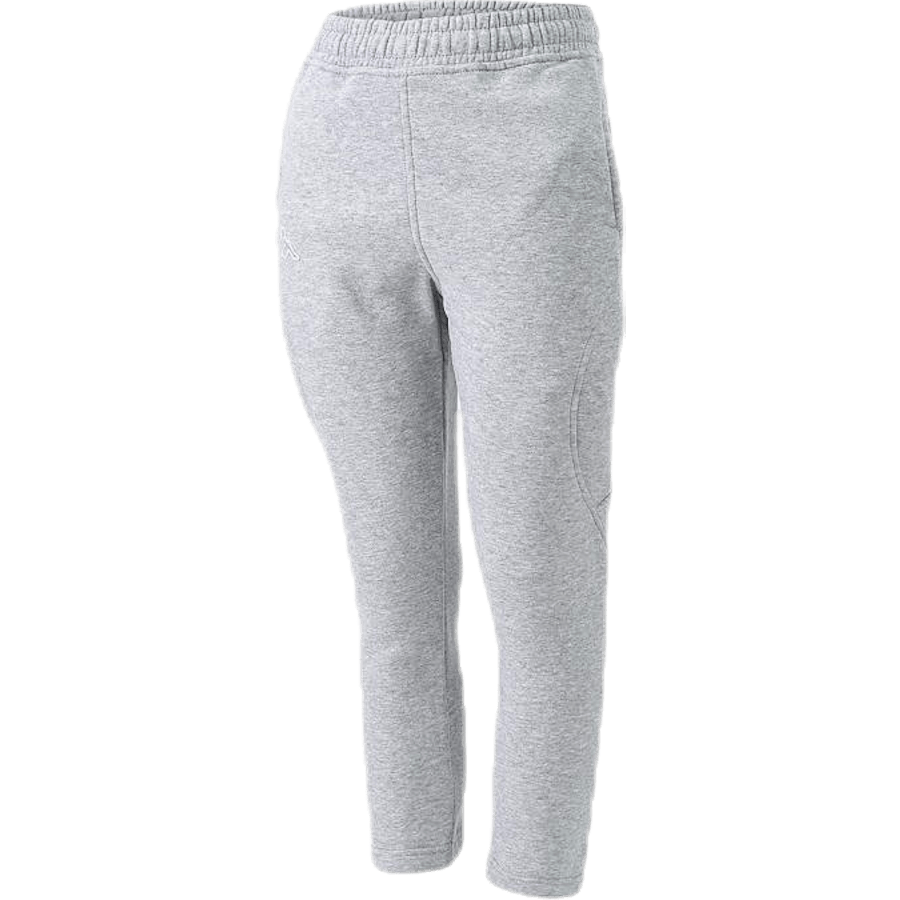 Logo Giove Jr Grey