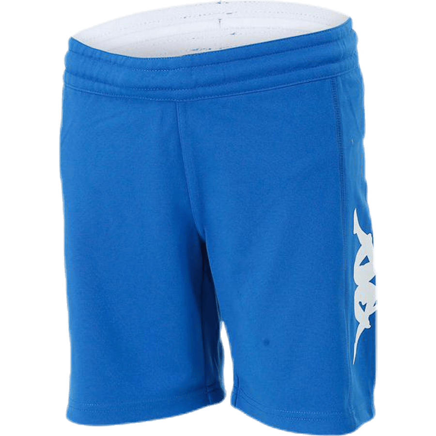 Logoshorts Blue/White