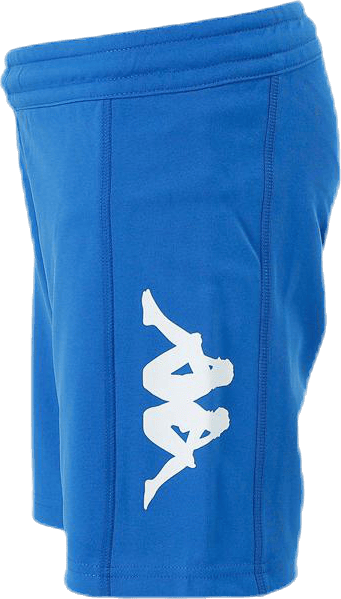 Logoshorts Blue/White - Bild 2