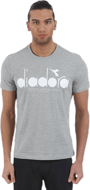 SS T-Shirt Grey, Male, Klær, T skjorte, Grå, S