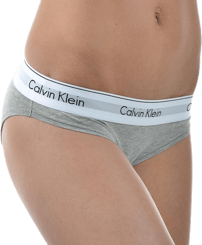 Modern Cotton Bikini Brief Grey
