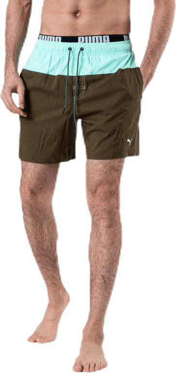 Logo Medium Length Swim Shorts Brown/Green, Male, Kläder, Badkläder, Simning, Brun/Grön, M