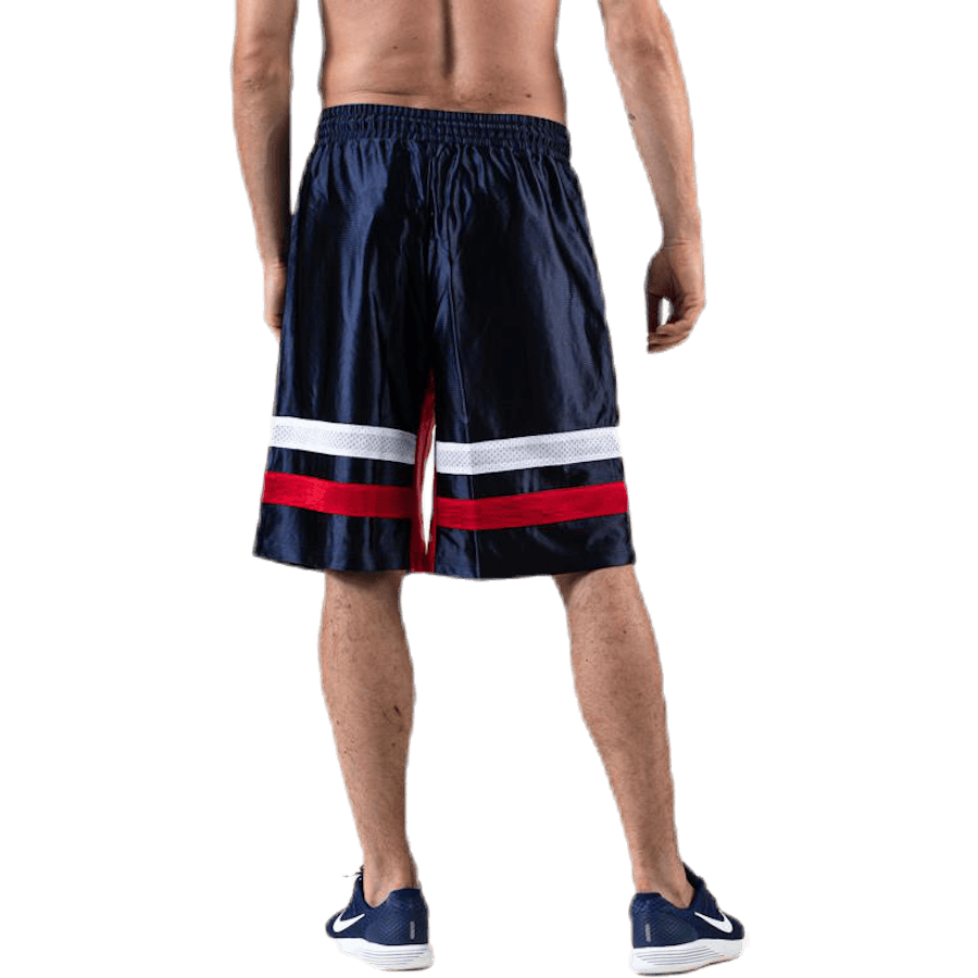 Blocked Shorts 11" Blue - Bild 2