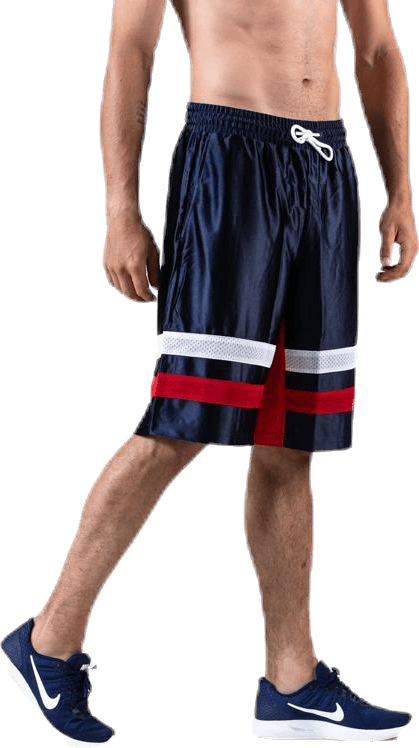 Blocked Shorts 11" Blue - Bild 3