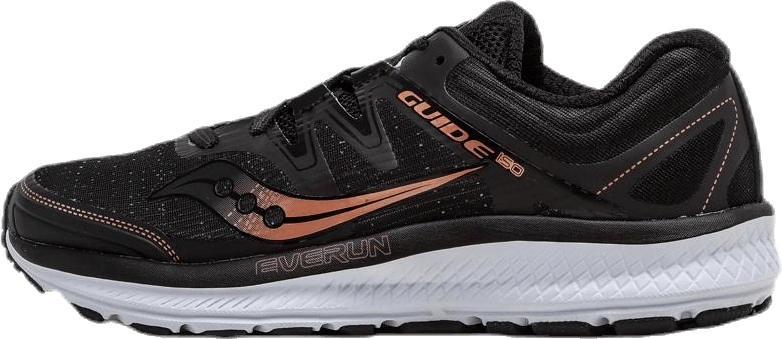 Guide ISO Brown/Black, Female, Shoes, Running shoes, Running, Brown/Black, EU 43