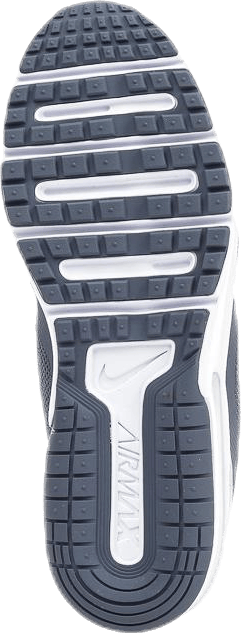 Air Max Fury GS Pink/Grey - Bild 6