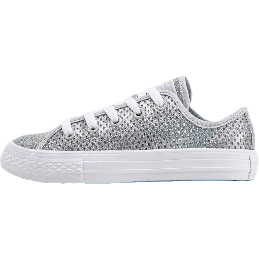 Chuck Taylor All Star Mesh Silver