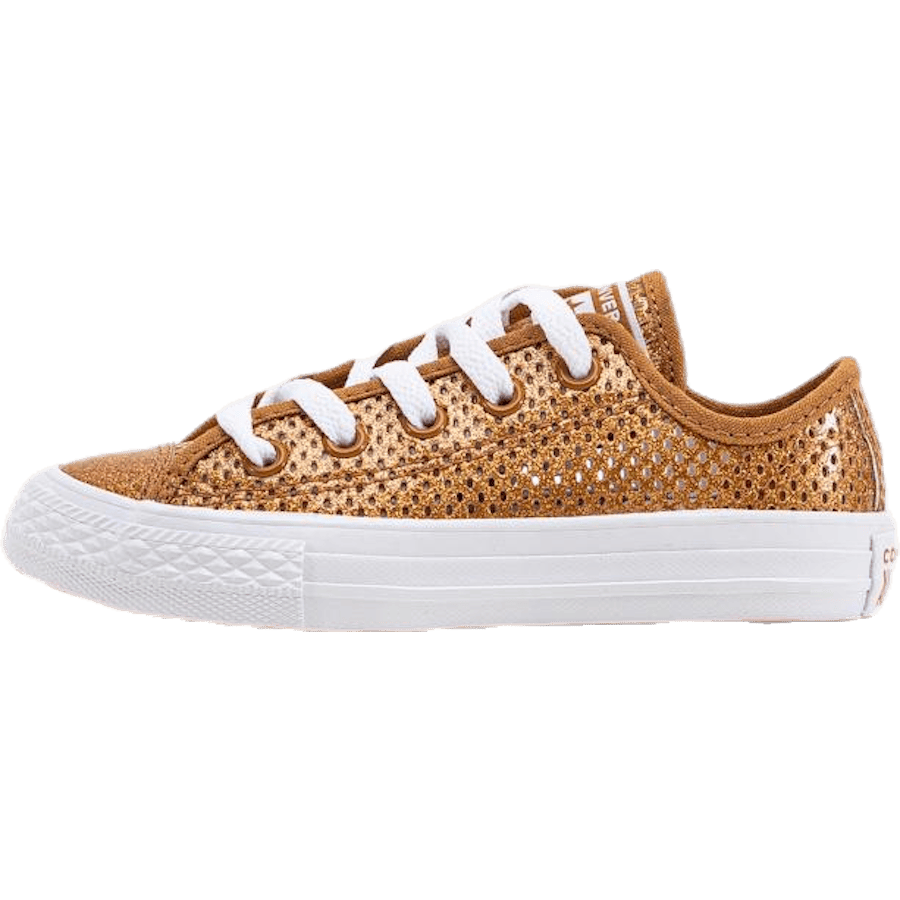 Chuck Taylor All Star Mesh Brown