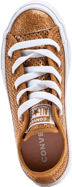 Chuck Taylor All Star Mesh Brown - Bild 5