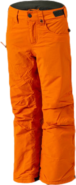 Parkway Youth Orange, Unisex, Apparels, Pants, Alpine sports, Orange, M