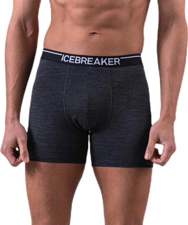 Anatomica Boxers Grey, Male, Apparels, Underwear, Grey, XL