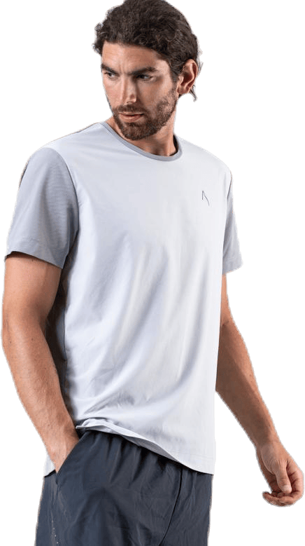 Fly Limited Tee Grey