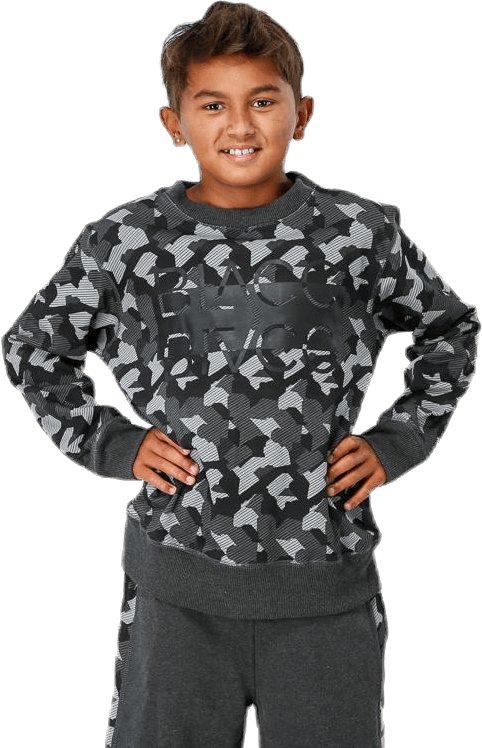 Junior Trevor Crewneck Patterned/Grey