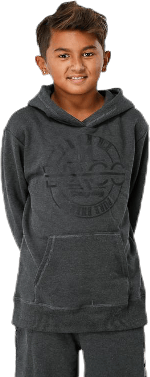 Junior Harvey Hoodie Grey, Unisex, Vêtements, Chemises, Gris, 146/152