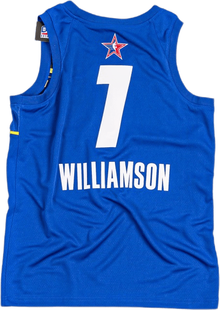 ASW M Swgmn Jsy T1 21 Williamson Zion - Bild 2