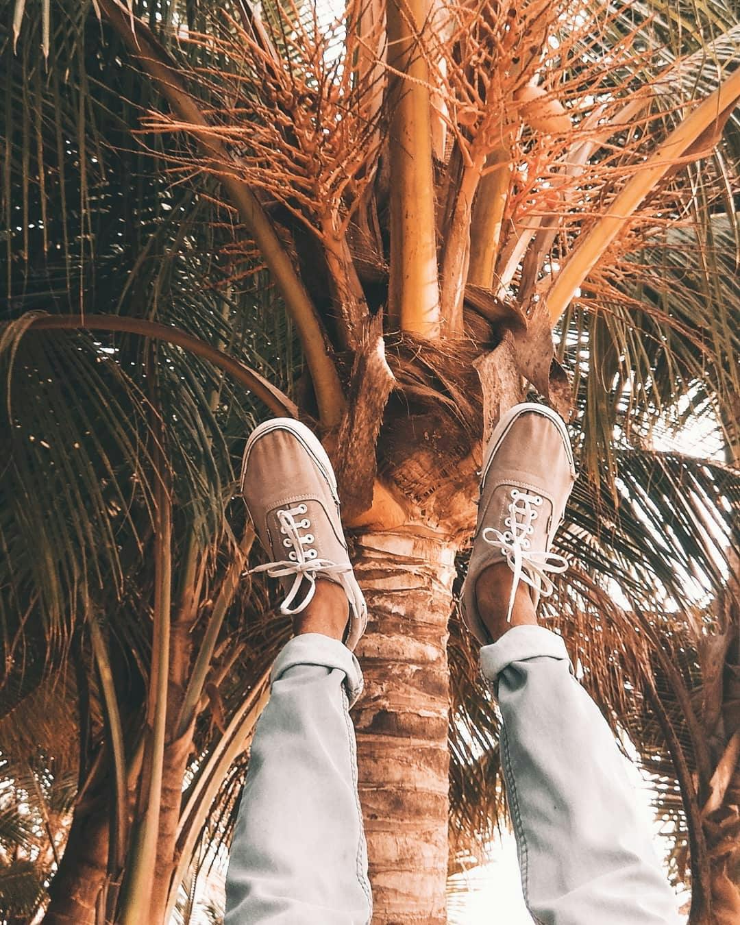 Kjøp Vans Ua Authentic Silver Liningtrue White sko Online Kjøp Vans Ua Authentic Silver Liningtrue White sko Online