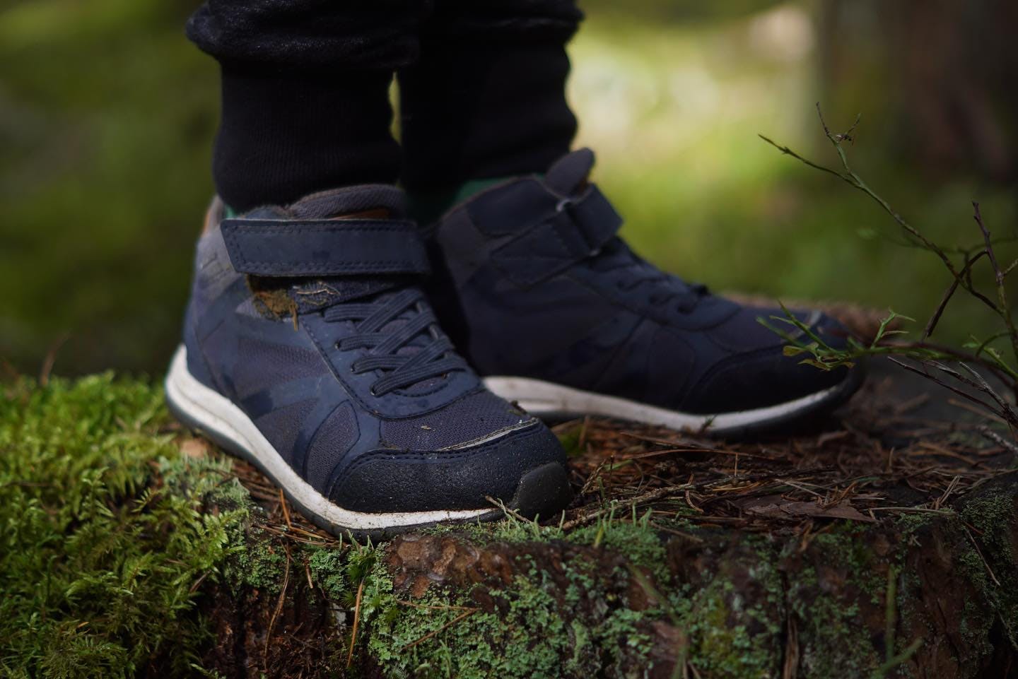 Kjøp Kavat Iggesund Lace WP Blue sko Online | FOOTWAY.no Kjøp Kavat Iggesund Lace WP Black sko Online | FOOTWAY.no