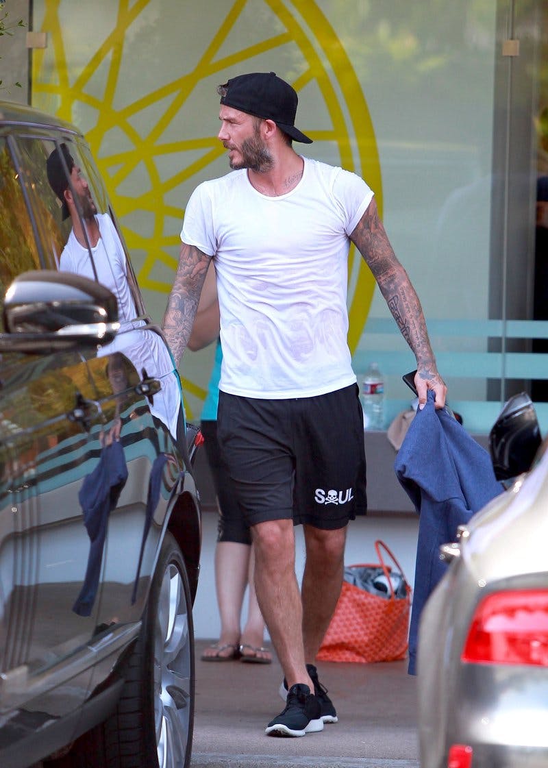 becks