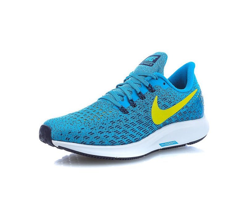 Nike Pegasus