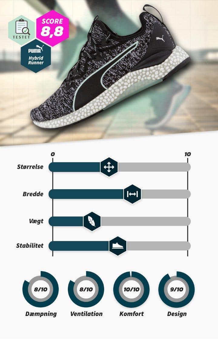 DAM-PUMA.jpg
