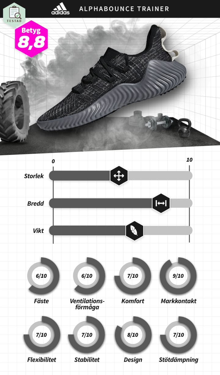 HERR Adidas - alphabounce trainer.png