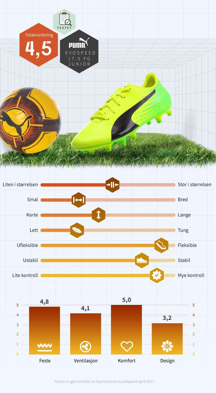 NO-puma-evospeed-17.5.jpg