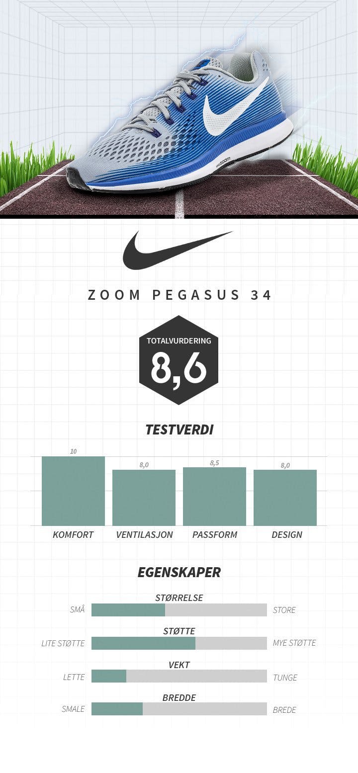 Pegasus Nike