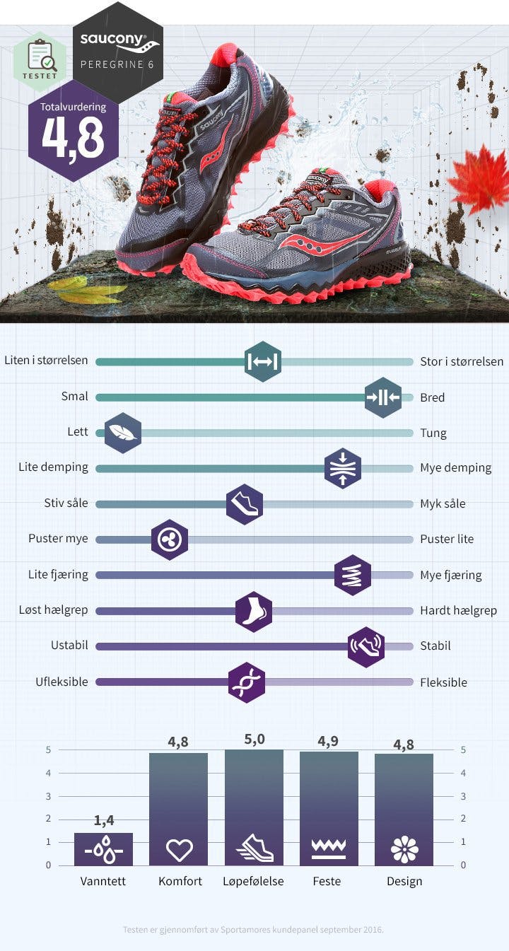 Saucony_Peregrine6_Dam.jpg