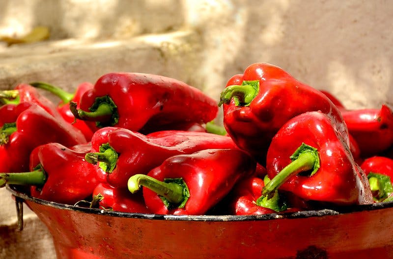 paprika