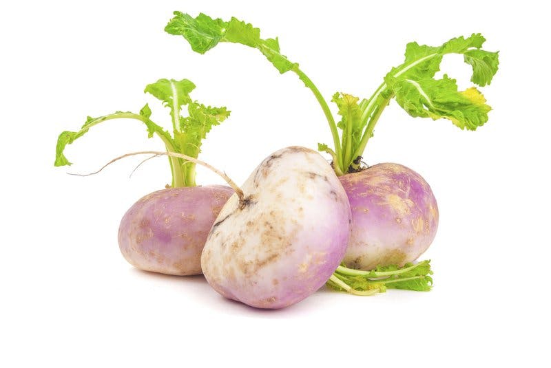 kålrot