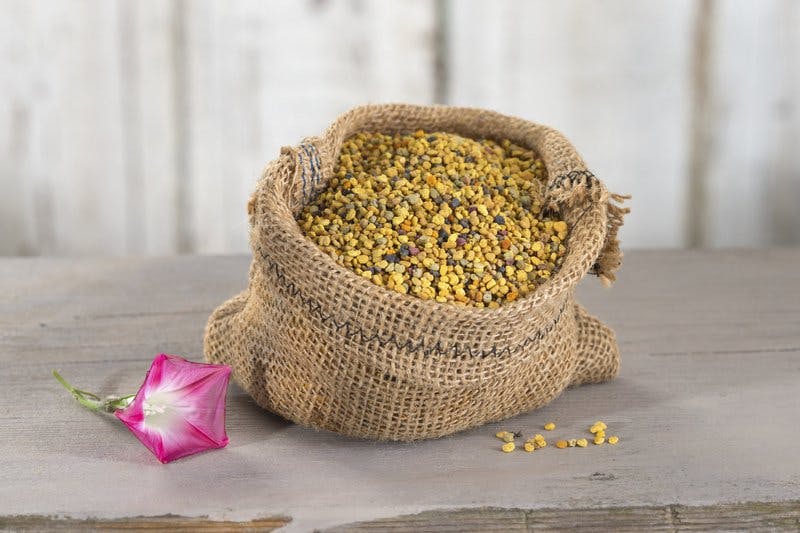bipollen