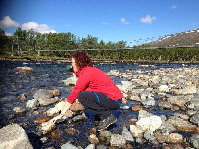 fjällen