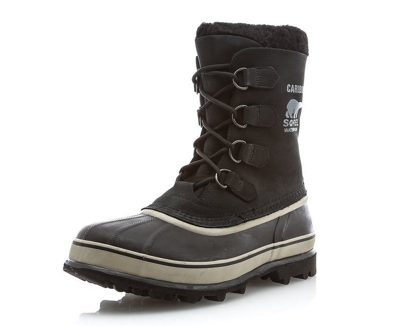 sorel caribou